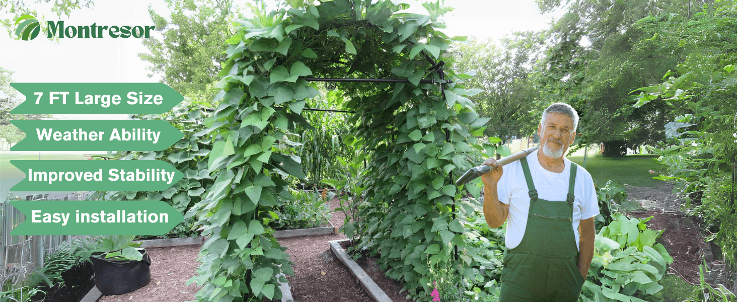 Garden Arch Trellis