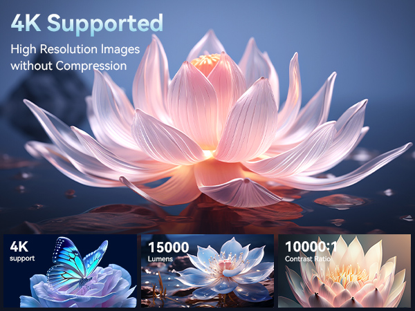 Digital art display showcasing 4K resolution lotus flower renders in pink and white, with technical specifications and multiple preview images below.