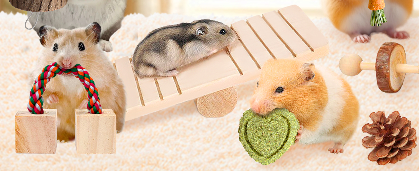 NATURAL CHEW& PLAYHAVEN