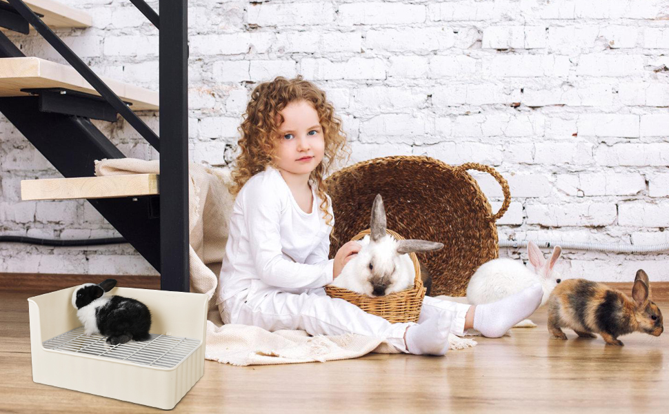 Large Rabbit Litter Box