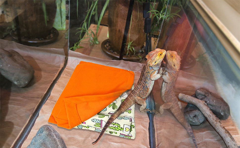 Bearded Dragon Bed Reptiles Sleeping Bag with Pillow and Blanket Small