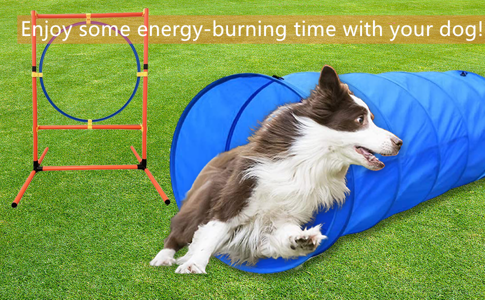 Pet Outdoor Game with Tunnel, Agility Hurdle, Weave Poles, Jump Ring, Pause Box