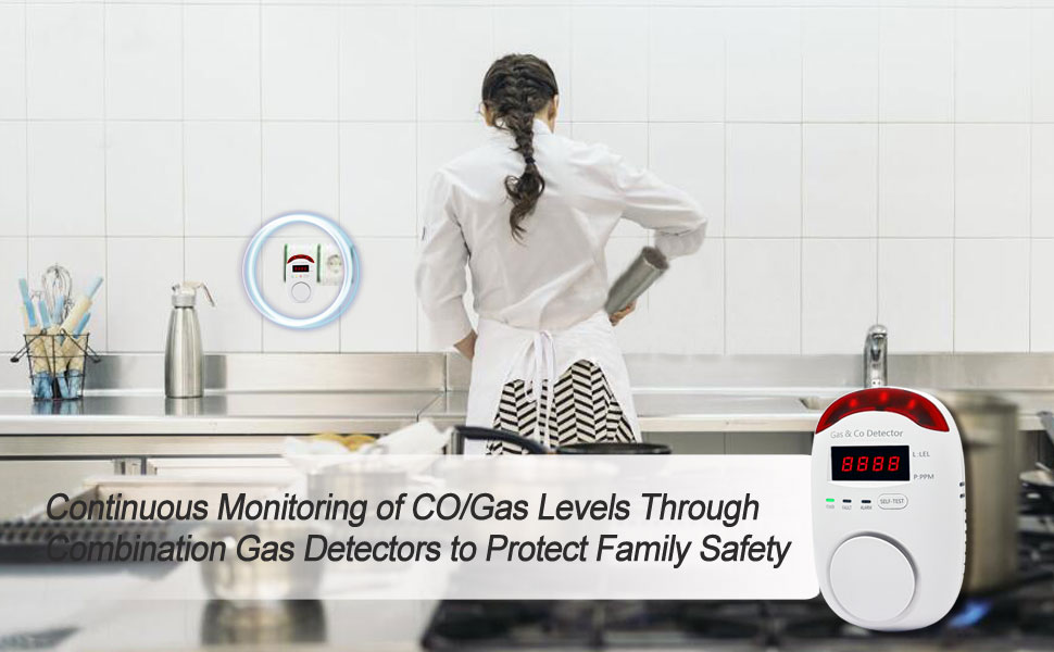 Combination Gas & Carbon Monoxide Detectors 