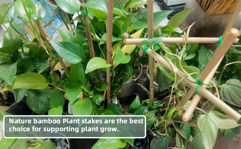 50Pcs Bamboo Plant Stakes for Indoor Outdoor Plants, 0.32