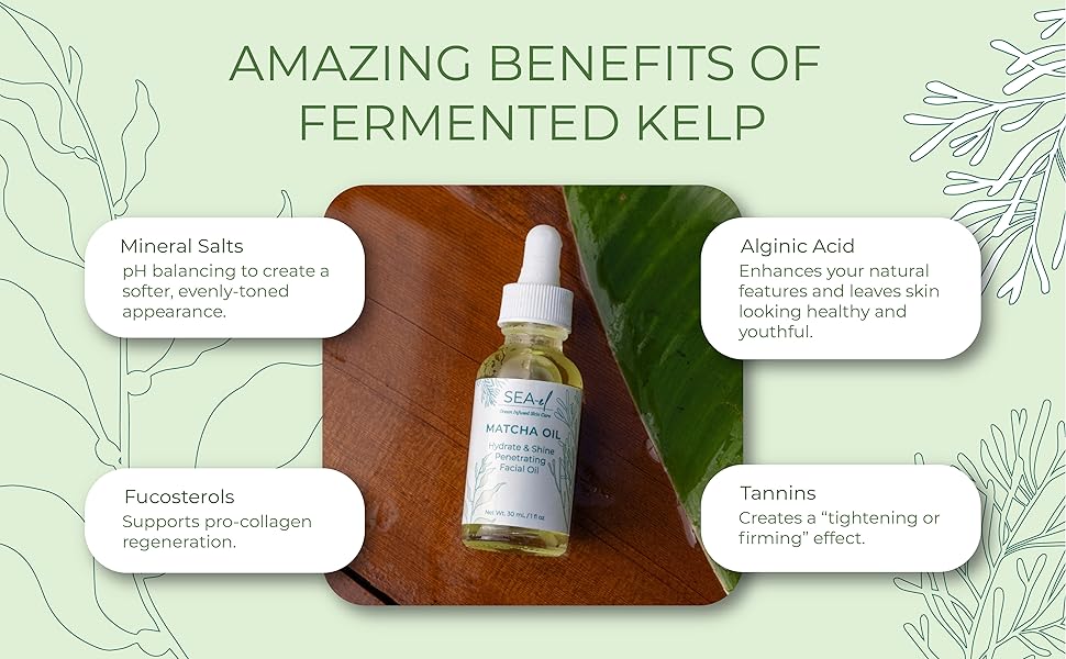 amazing benefits of fermented kelp