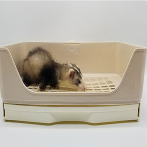 Large Rabbit Litter Box Trainer