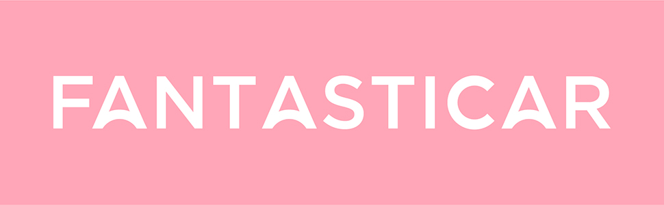 FASNTASTICAR