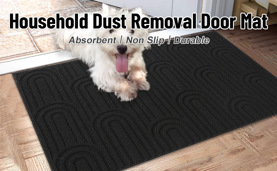 Door Mat 19.6x31.5 Inch Doormat Indoor Non Slip Front Door Mat Dirt