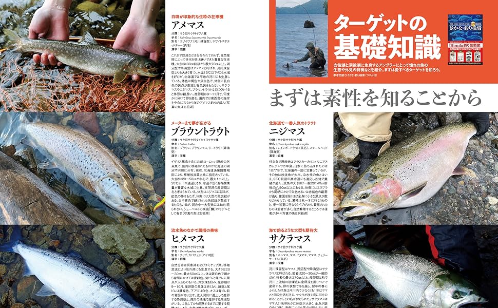 スーパ採集ガイド ⑤北海道東北部編 支笏湖・洞爺湖 大明解MAP(しこつこ・とうやこ) (別冊つり人 Vol