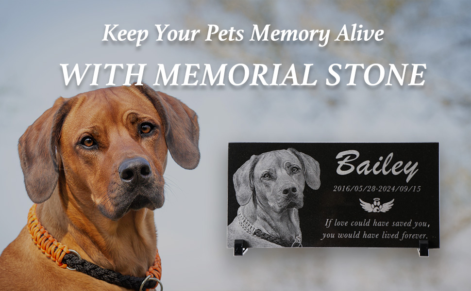 pet memory