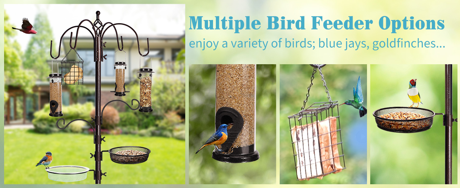 bird feeder