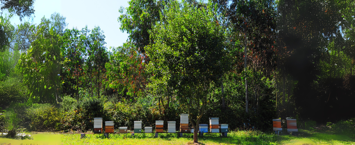 Large manufacture image 4