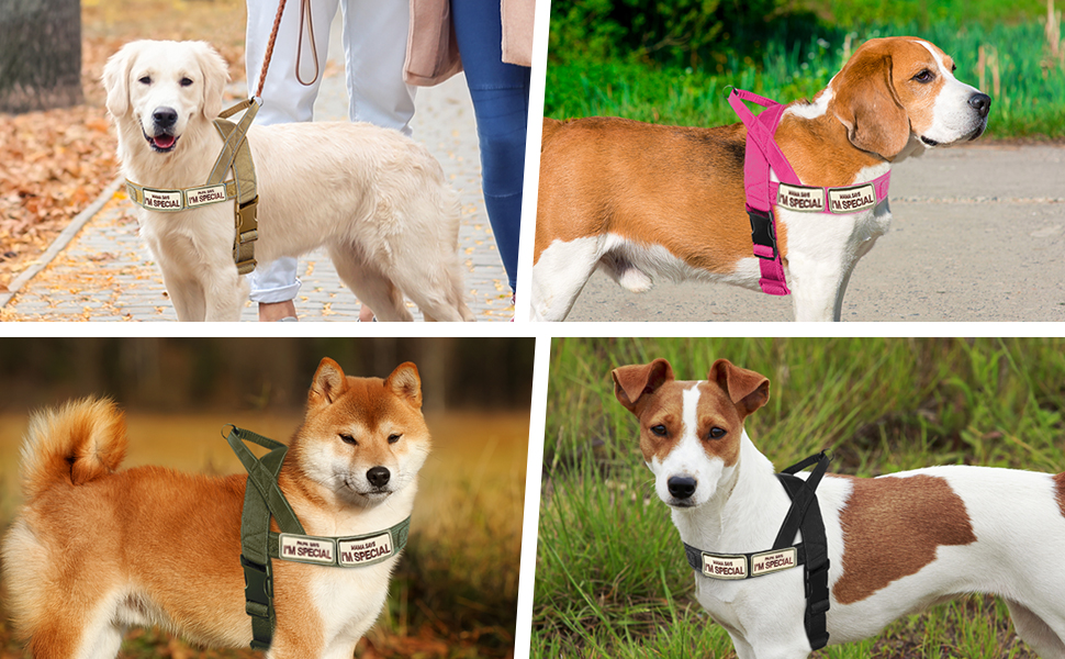 step in dog harness