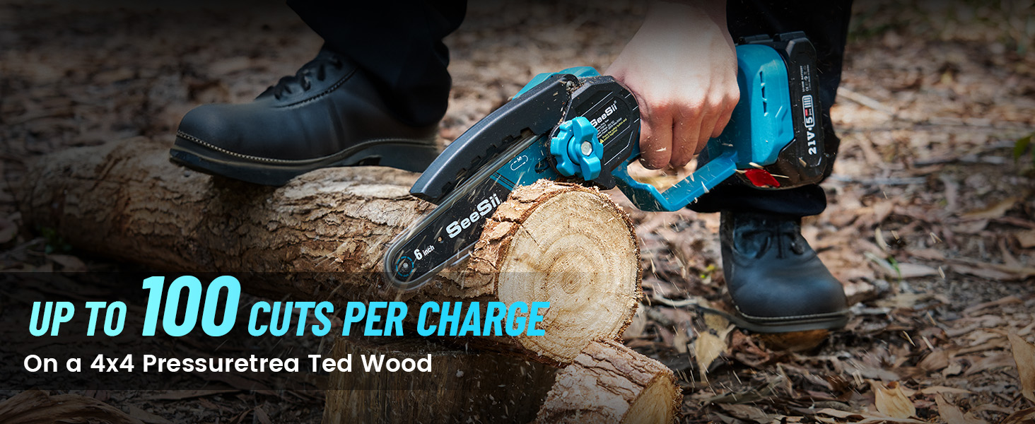 battery powered pole saw
