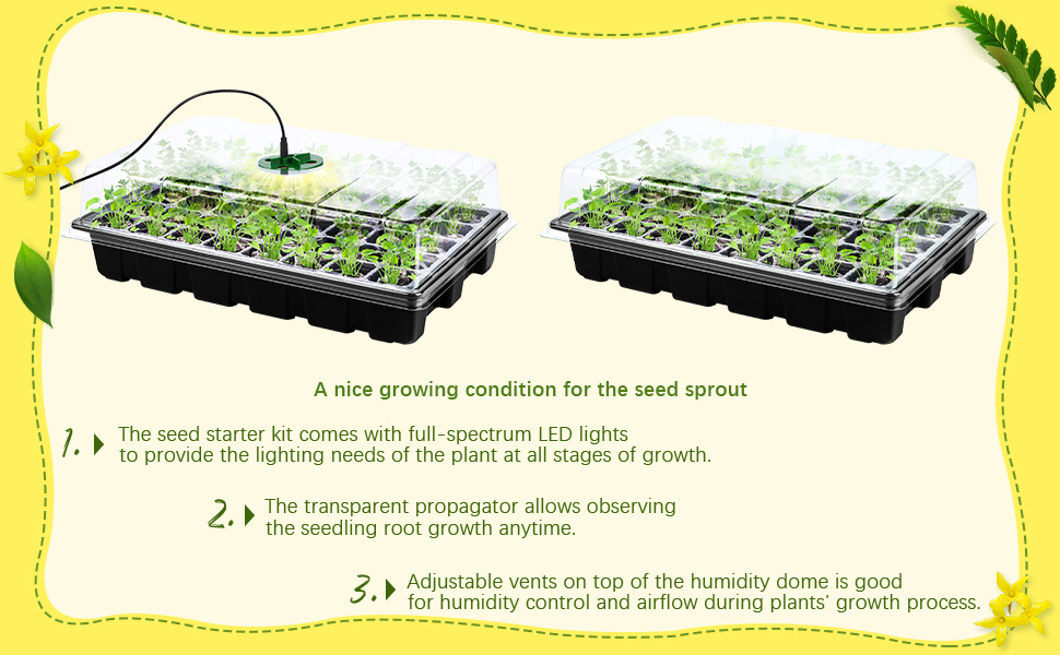 seed starter tray