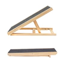dog ramp car