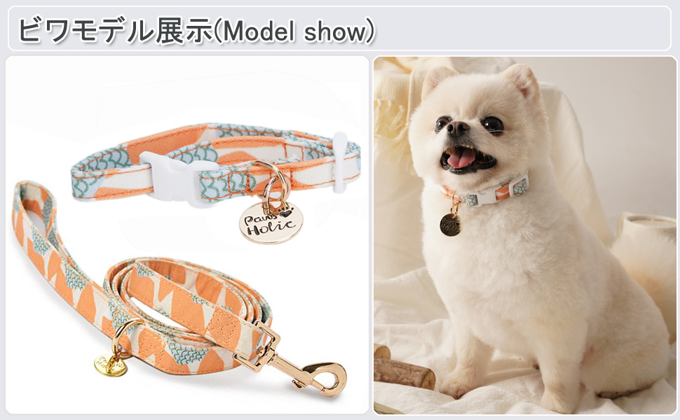 Amazon | 犬 首輪 リードセット 小型犬 中型犬 大型犬 犬の