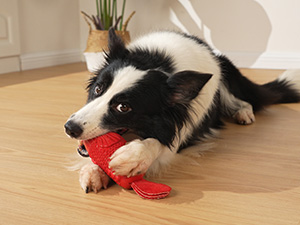 Tough Dog Toys