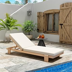 chaise lounge with cushion