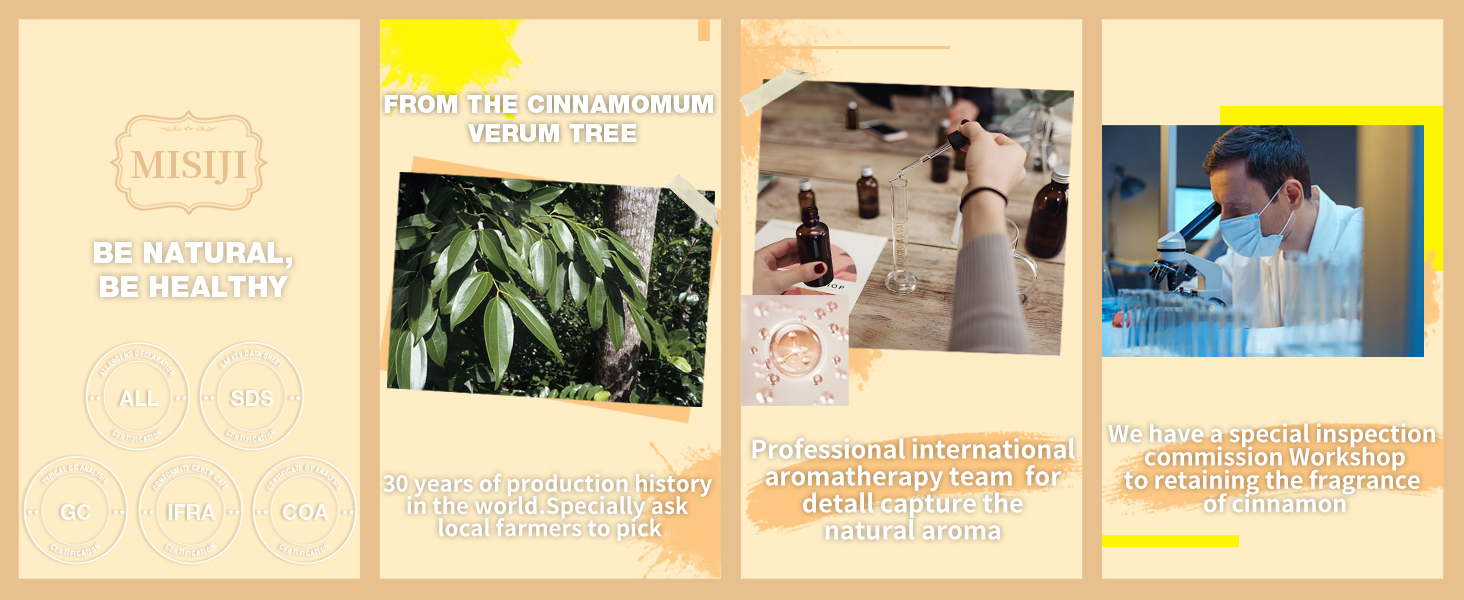 Hand Picked Cinnamon Essential Oils for Diffuser & Aromatherapy, Home, Laundry, Candles & More, 1 FL.OZ Cd445f9e D443 43cb Bdd3 Dced54248177. CR0,0,1464,600 PT0 SX1464 V1