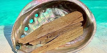 Abalone Muschel Palo Santo