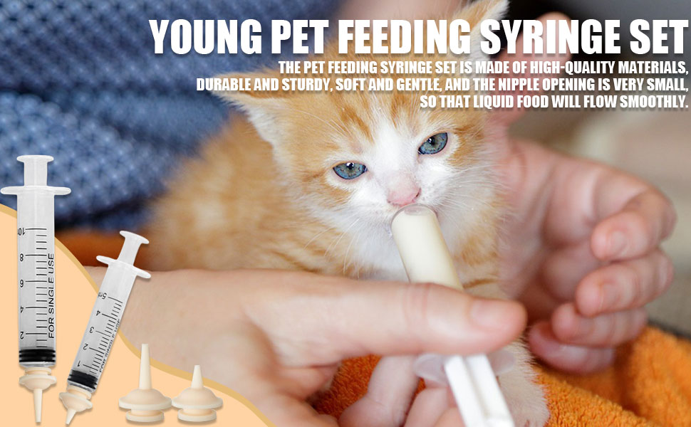 Pet Feeding Syringe 