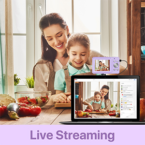 point and shoot camera