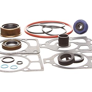 Amazon.com: REPLACEMENTKITS.COM - Lower Gearcase Seal Kit