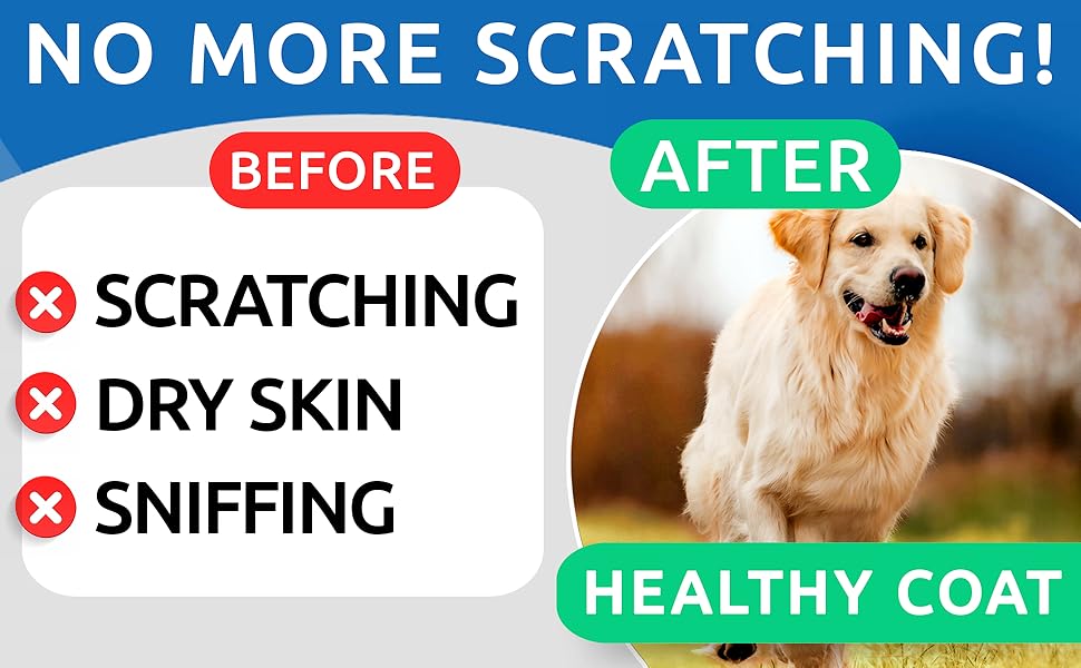 BS-009E Allergy Chews