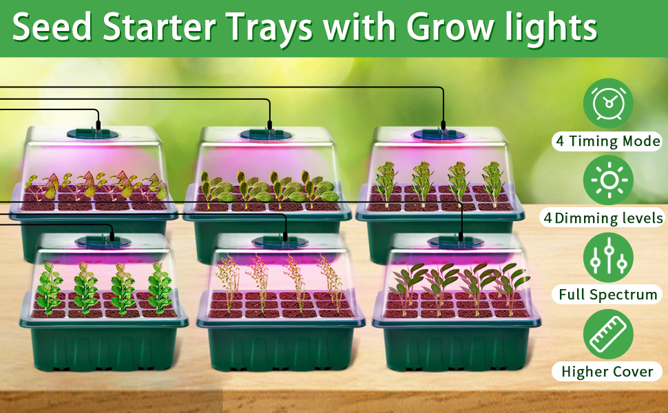 YAUNGEL Seed Starter Tray with Grow Light, 6 Pack Seed