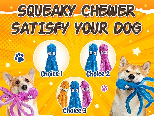 Dog Toys