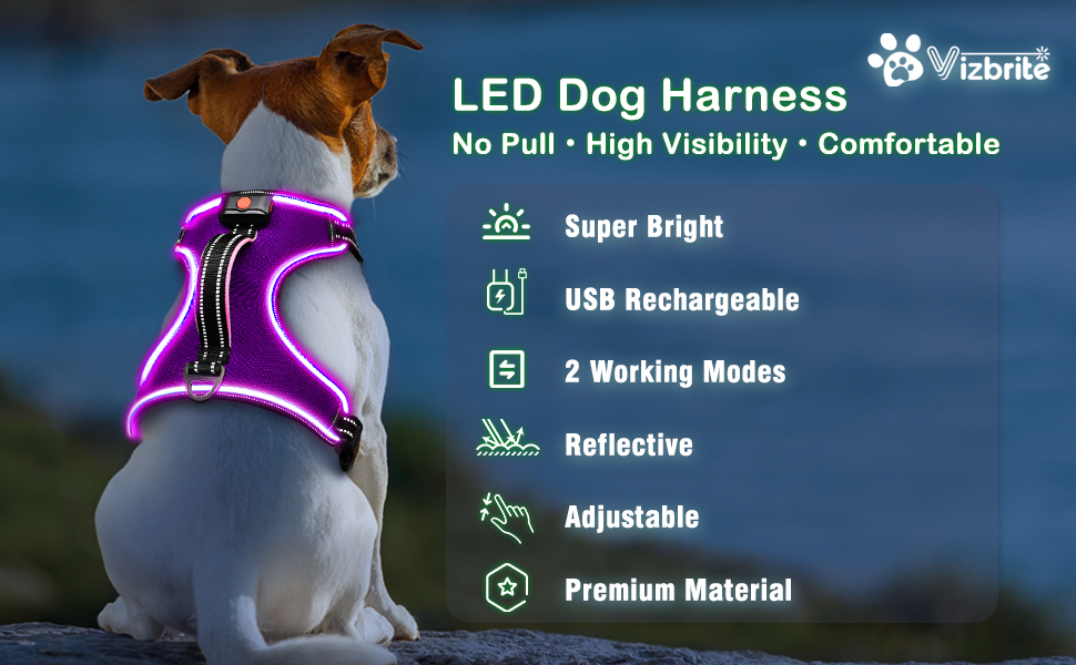 Light Up Dog Harness No Pull LED Dog Harness with Handle