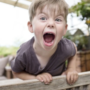 Small manufacture image 8