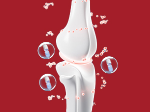 dog joint and hip supplement