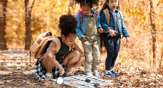 explore nature every day