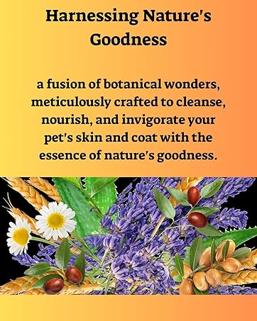 Harnessing Nature's Goodness