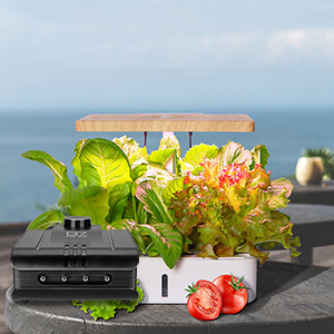 air pump for hydroponic