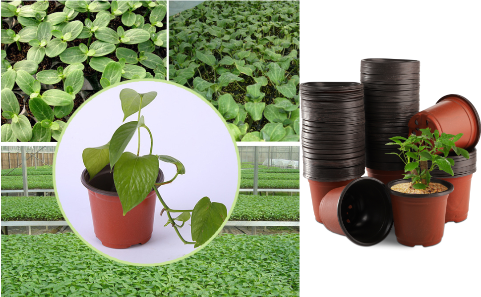 200 PCS 4" Plastic Nursery Pots