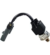 ちゃんこ　ψ(=^x^=)ψ 51W82+is+TL._AC_SY200_QL15_.jpg