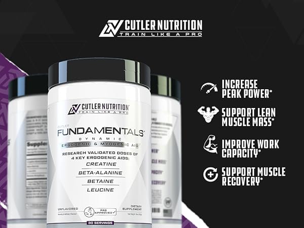 Fundamentals Highlights