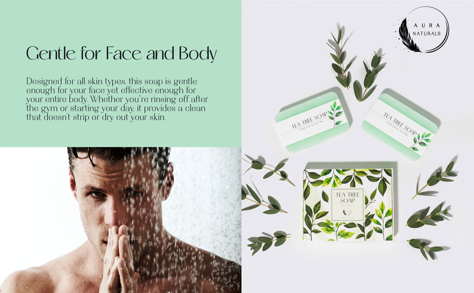 Aura Naturals Tea Tree Soap Bar - Set of 2, Natural Soap Bar for Face & Body Wash, Tea Tree Oil Soap with Anti Fungal Properties for Body Itching Acne Athlete's Foot Folliculitis 14 antibacterial body soap, acne soap for face, antibacterial soap body, anti bacterial soap bar