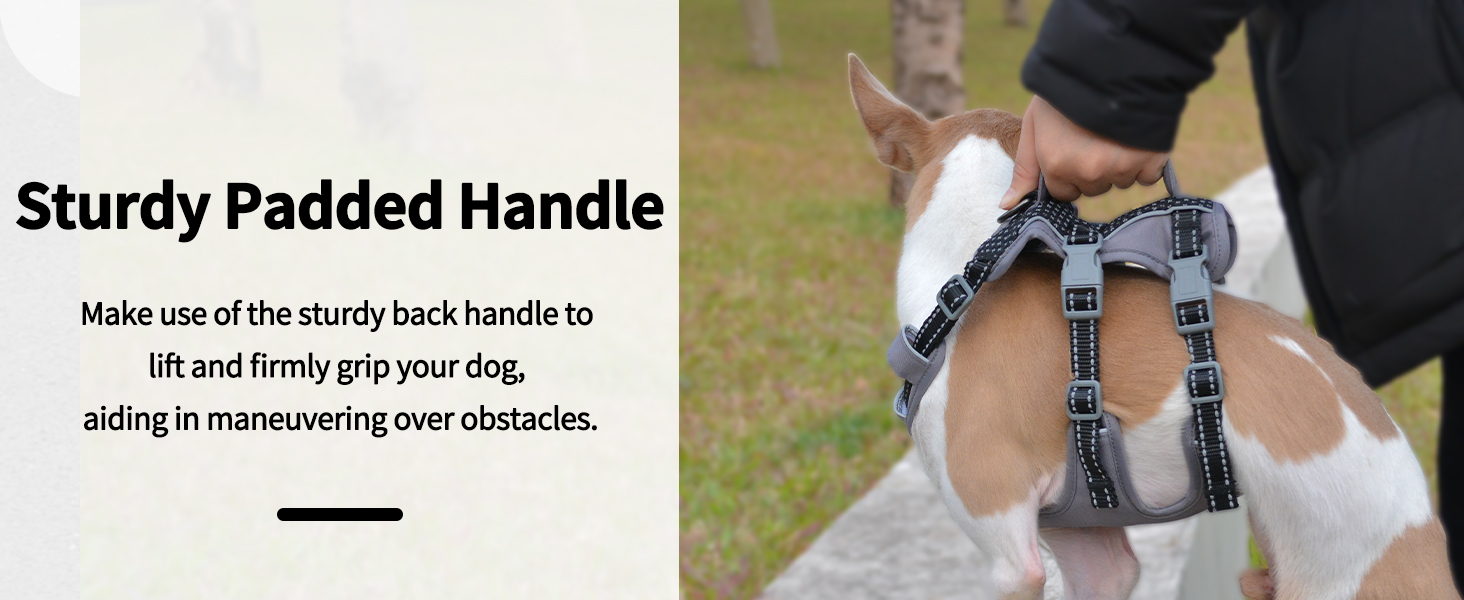 dog harness with handle 