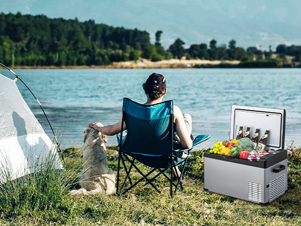 Amazon.com: DEAPRULL 12V Car Refrigerator, 30 Quart(28L