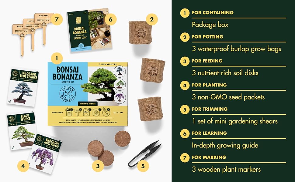 Bonsai Tree Kit Grow 3 Mini Bonsai Trees, Indoor Plant Growing Kit