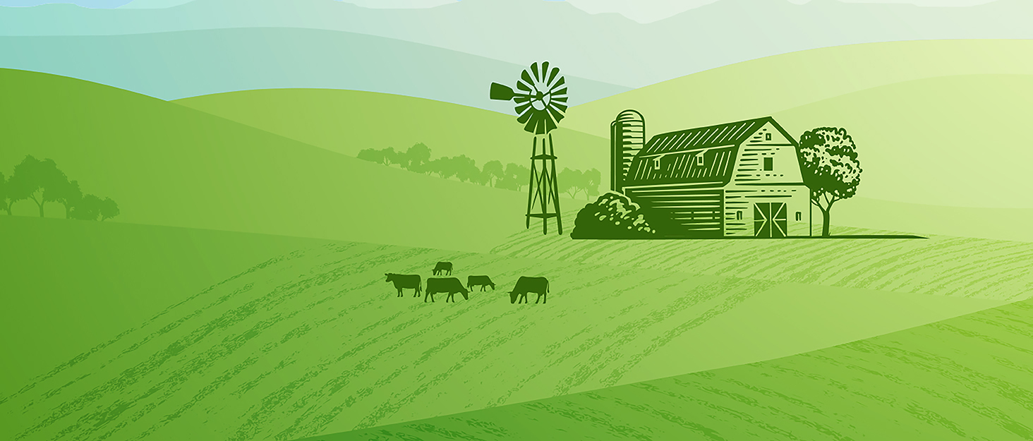 camioneta plastica plasticos childs childrens yrs yr litle littel trailors traliers 