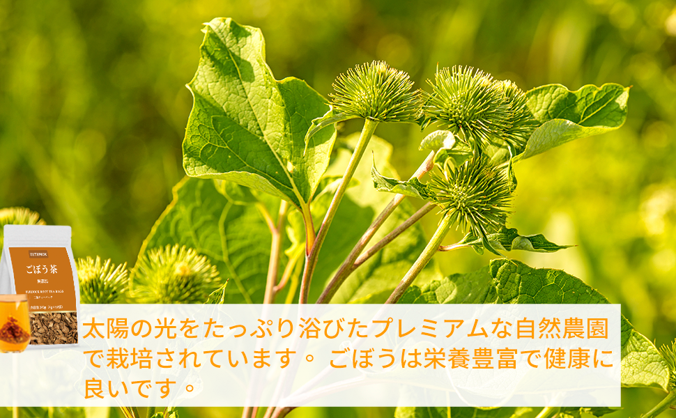 Large manufacture image 1