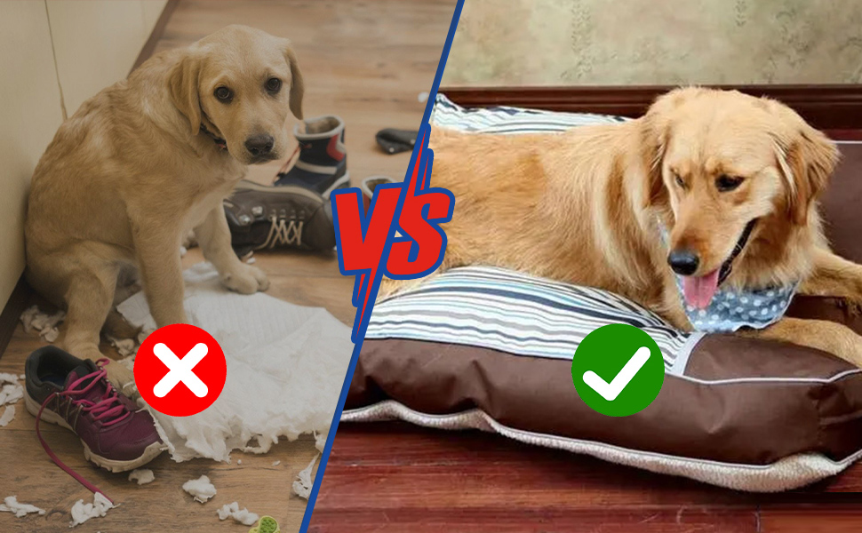 Bitter Apple Spray for Dogs to Stop Chewing, WUKALKA No