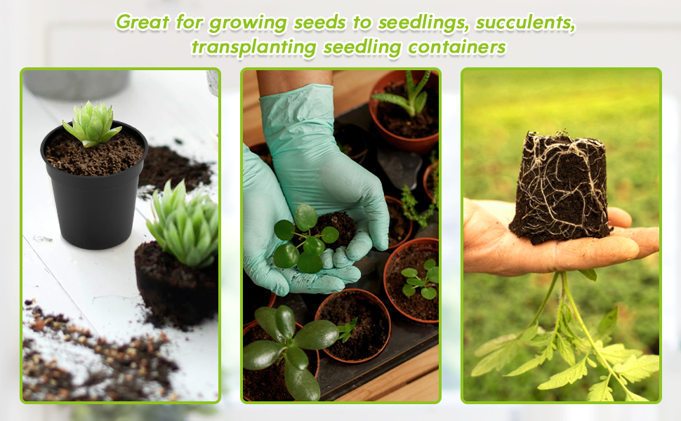 KINGLAKE GARDEN Small Black Plastic Pots,50 Packs 2 Inch