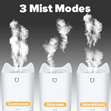 Customizable Mist Modes