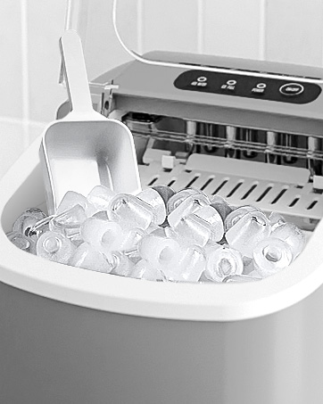 Ice maker